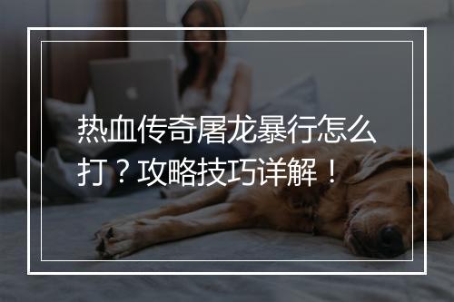 热血传奇屠龙暴行怎么打？攻略技巧详解！
