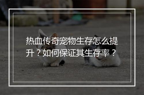 热血传奇宠物生存怎么提升？如何保证其生存率？