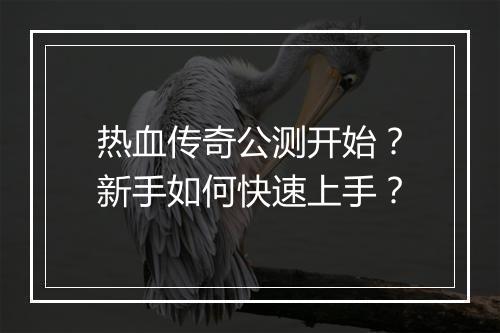 热血传奇公测开始？新手如何快速上手？