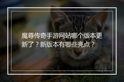 魔尊传奇手游网站哪个版本更新了？新版本有哪些亮点？