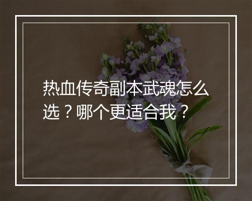 热血传奇副本武魂怎么选？哪个更适合我？