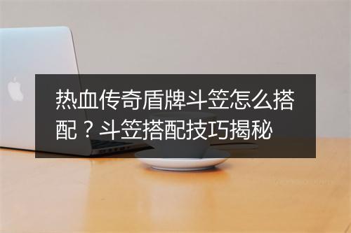 热血传奇盾牌斗笠怎么搭配？斗笠搭配技巧揭秘