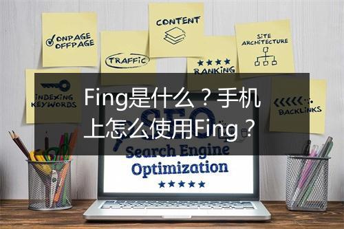 Fing是什么？手机上怎么使用Fing？