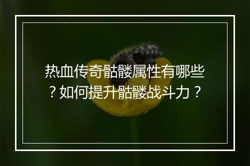 热血传奇骷髅属性有哪些？如何提升骷髅战斗力？