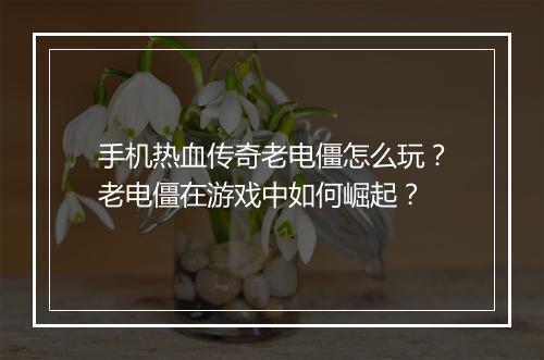 手机热血传奇老电僵怎么玩？老电僵在游戏中如何崛起？