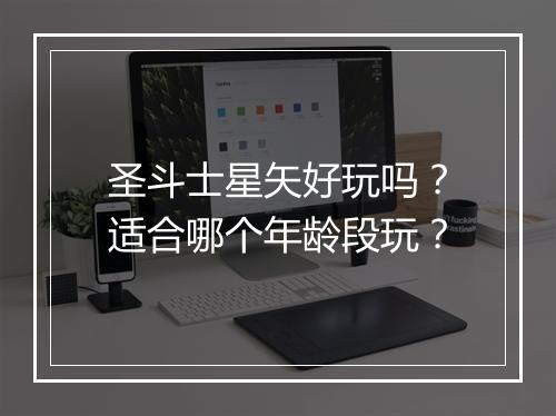 圣斗士星矢好玩吗？适合哪个年龄段玩？