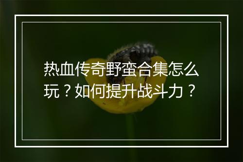 热血传奇野蛮合集怎么玩？如何提升战斗力？