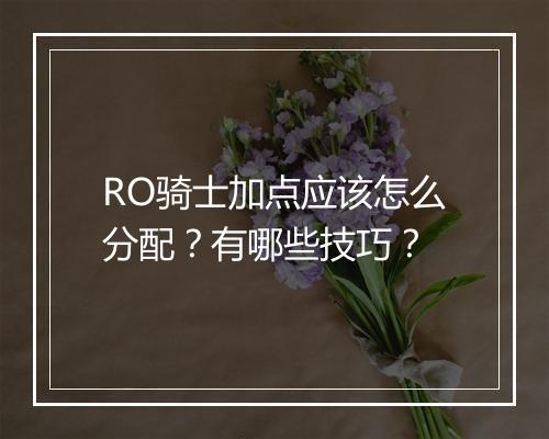 RO骑士加点应该怎么分配？有哪些技巧？