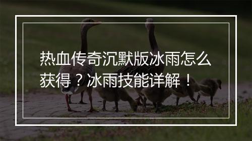 热血传奇沉默版冰雨怎么获得？冰雨技能详解！