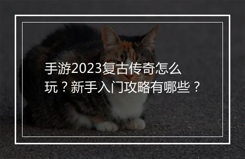 手游2023复古传奇怎么玩？新手入门攻略有哪些？
