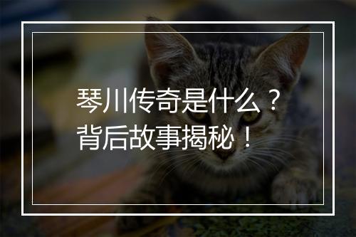 琴川传奇是什么？背后故事揭秘！