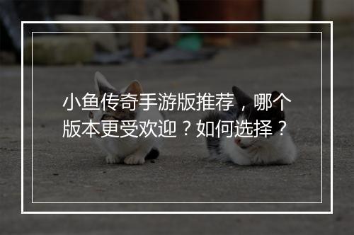 小鱼传奇手游版推荐，哪个版本更受欢迎？如何选择？