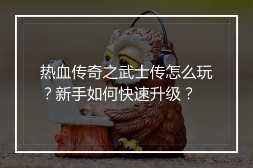 热血传奇之武士传怎么玩？新手如何快速升级？