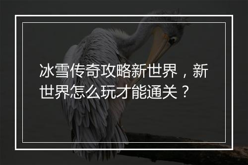 冰雪传奇攻略新世界，新世界怎么玩才能通关？