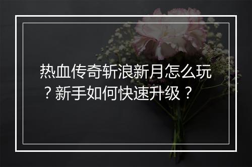 热血传奇斩浪新月怎么玩？新手如何快速升级？