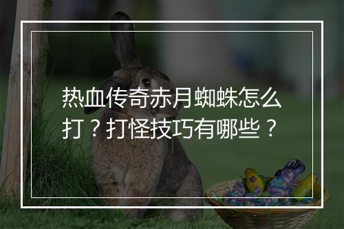热血传奇赤月蜘蛛怎么打？打怪技巧有哪些？
