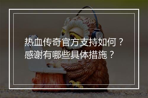 热血传奇官方支持如何？感谢有哪些具体措施？