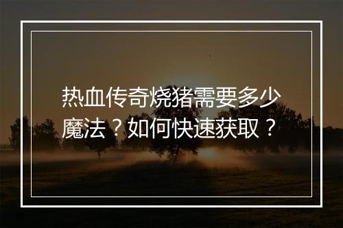 热血传奇烧猪需要多少魔法？如何快速获取？