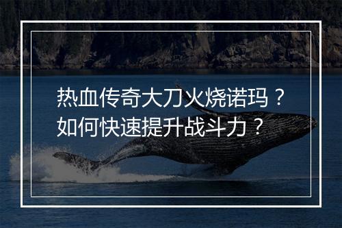 热血传奇大刀火烧诺玛？如何快速提升战斗力？