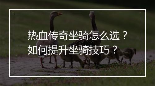 热血传奇坐骑怎么选？如何提升坐骑技巧？