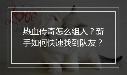 热血传奇怎么组人？新手如何快速找到队友？