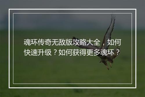 魂环传奇无敌版攻略大全，如何快速升级？如何获得更多魂环？