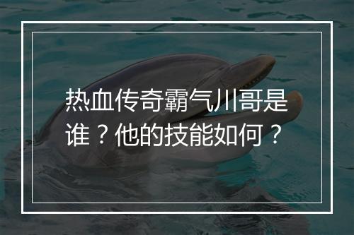 热血传奇霸气川哥是谁？他的技能如何？