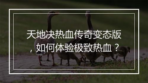 天地决热血传奇变态版，如何体验极致热血？