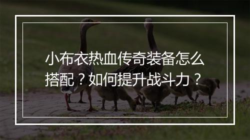 小布衣热血传奇装备怎么搭配？如何提升战斗力？