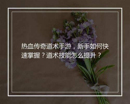热血传奇道术手游，新手如何快速掌握？道术技能怎么提升？