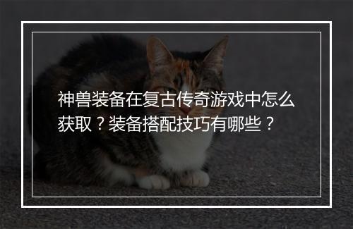 神兽装备在复古传奇游戏中怎么获取？装备搭配技巧有哪些？