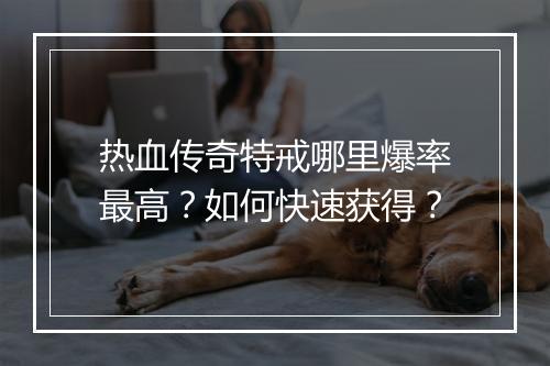 热血传奇特戒哪里爆率最高？如何快速获得？