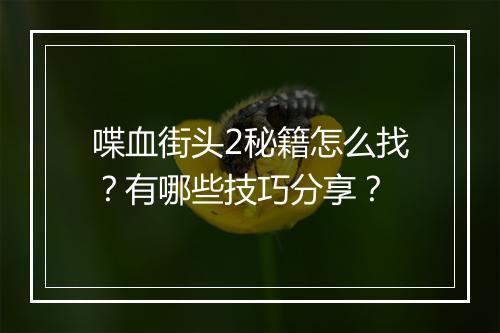 喋血街头2秘籍怎么找？有哪些技巧分享？