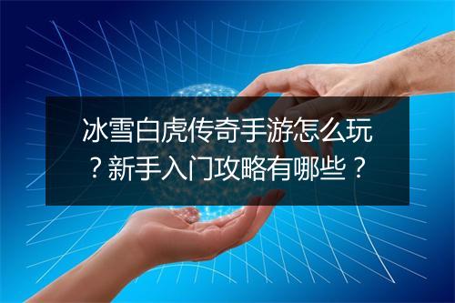 冰雪白虎传奇手游怎么玩？新手入门攻略有哪些？