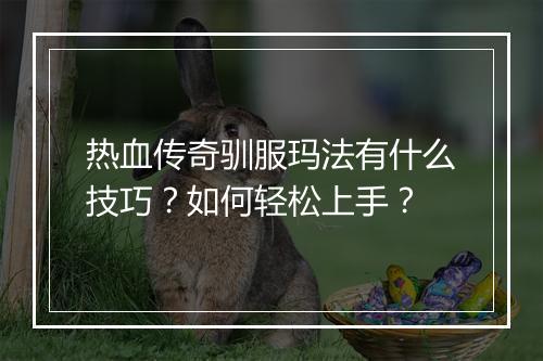 热血传奇驯服玛法有什么技巧？如何轻松上手？