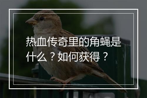 热血传奇里的角蝇是什么？如何获得？