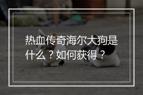 热血传奇海尔大狗是什么？如何获得？