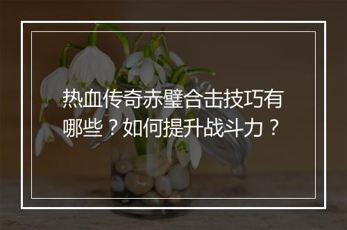 热血传奇赤璧合击技巧有哪些？如何提升战斗力？