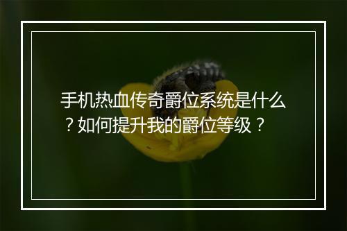 手机热血传奇爵位系统是什么？如何提升我的爵位等级？