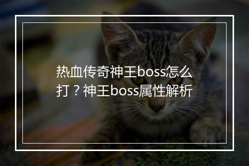 热血传奇神王boss怎么打？神王boss属性解析