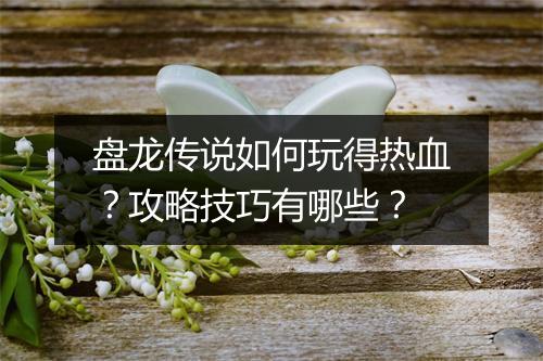 盘龙传说如何玩得热血？攻略技巧有哪些？