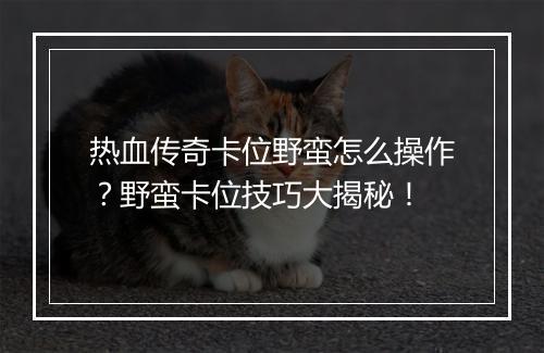 热血传奇卡位野蛮怎么操作？野蛮卡位技巧大揭秘！