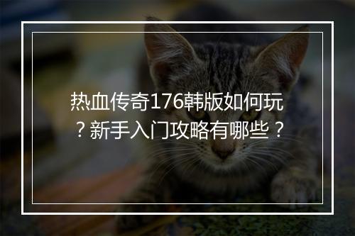 热血传奇176韩版如何玩？新手入门攻略有哪些？