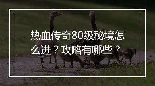 热血传奇80级秘境怎么进？攻略有哪些？