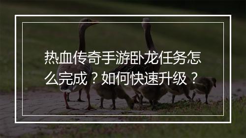 热血传奇手游卧龙任务怎么完成？如何快速升级？
