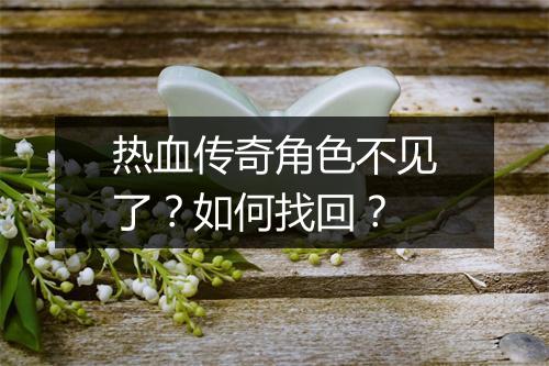热血传奇角色不见了？如何找回？