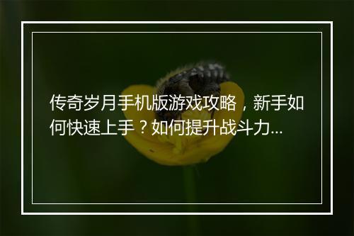 传奇岁月手机版游戏攻略，新手如何快速上手？如何提升战斗力？