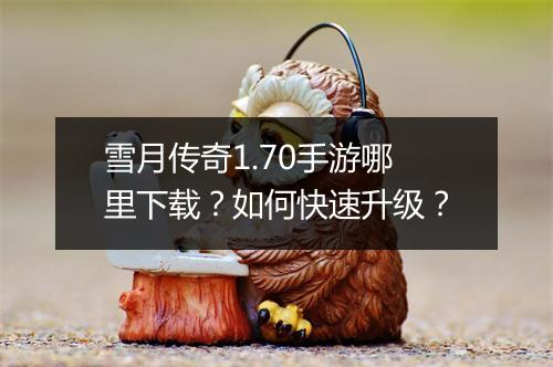 雪月传奇1.70手游哪里下载？如何快速升级？