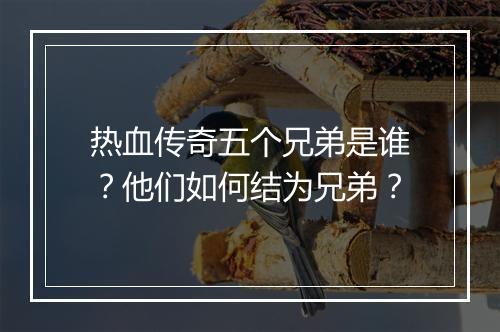 热血传奇五个兄弟是谁？他们如何结为兄弟？
