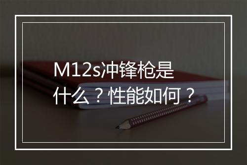 M12s冲锋枪是什么？性能如何？